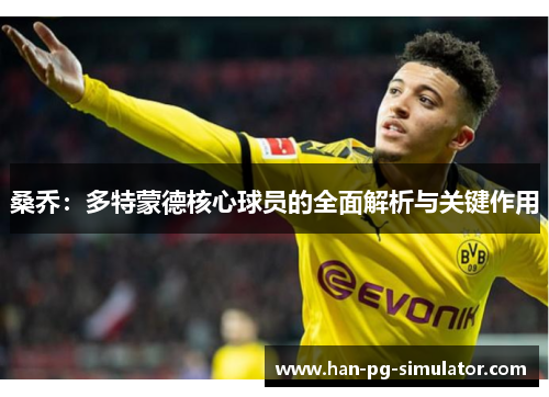 桑乔：多特蒙德核心球员的全面解析与关键作用